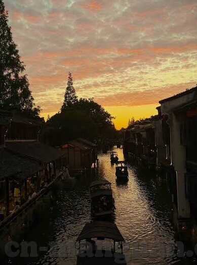 体球网即时足球比分-体球网即时足球比分，足球迷的实时信息宝库